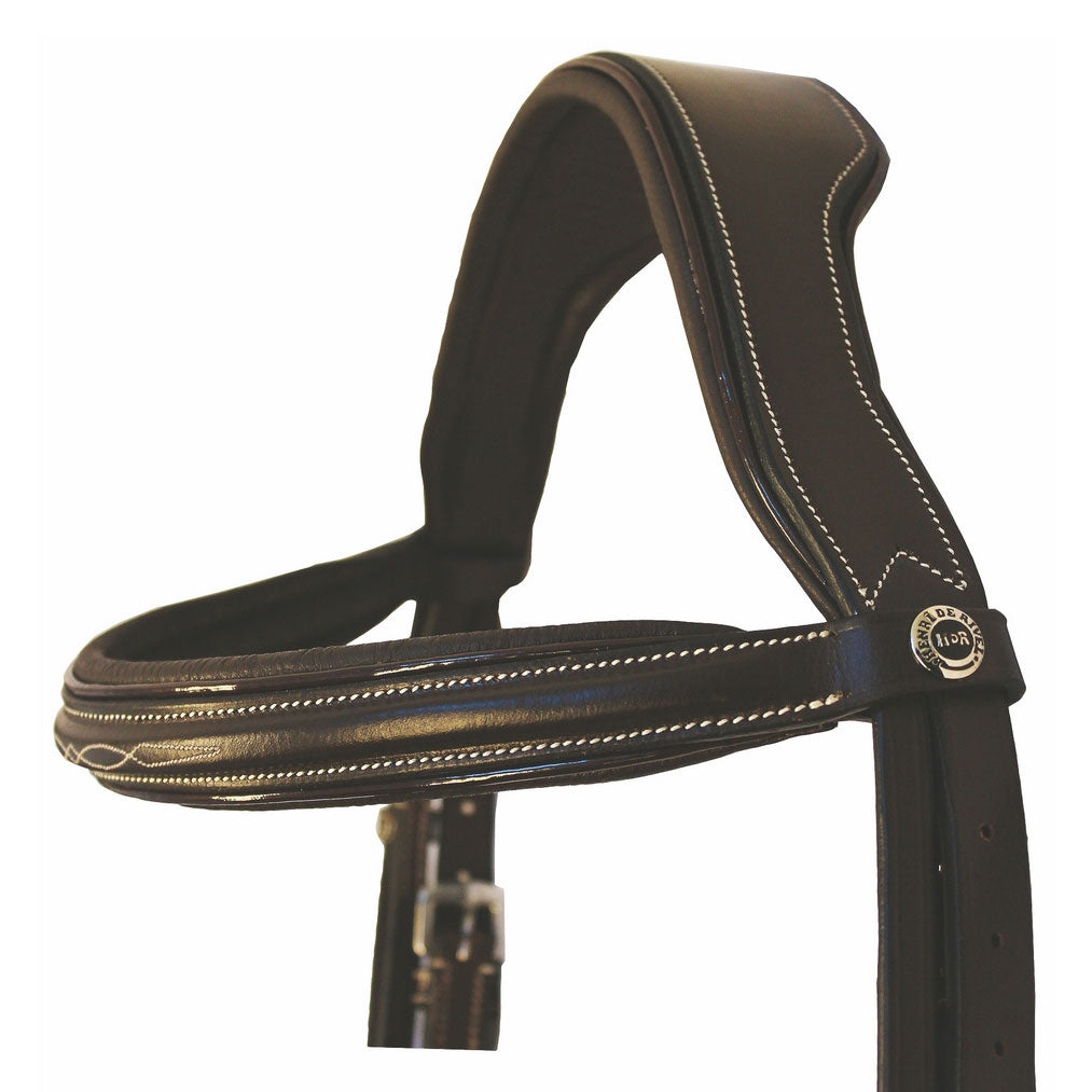 brown leather bridle