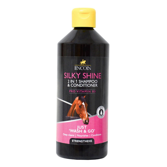 silky shine 2 in 1 shampoo and conditioner