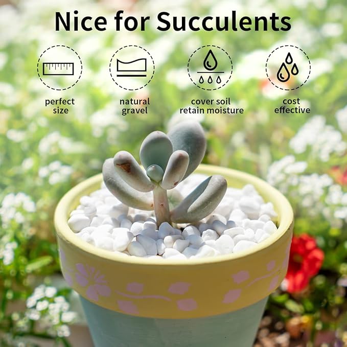2 lbs White Gravel, 3/8 Inch White Pebbles for Indoor Plants. White Stones for Succulents, Planters, Vase and Outdoor Garden Landscaping
