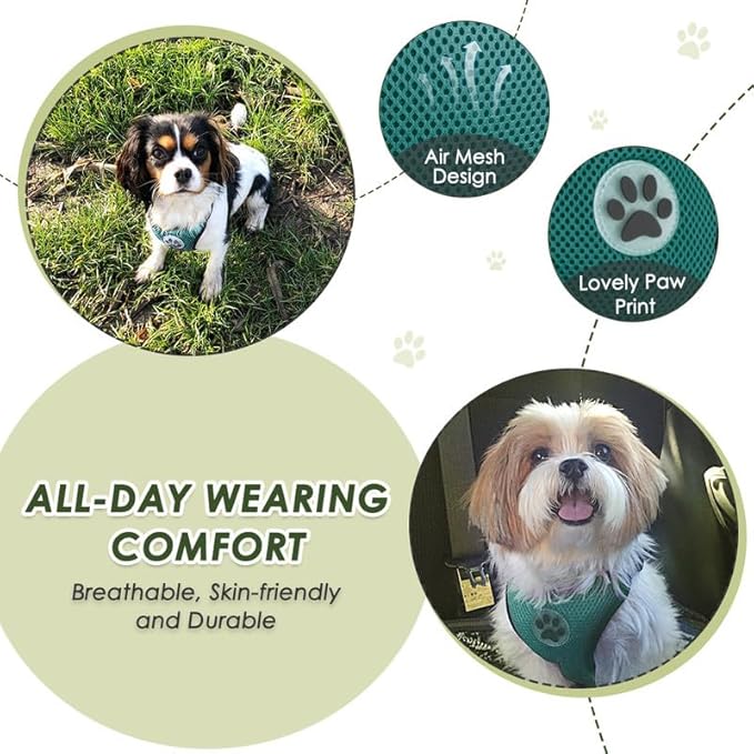 SlowTon Dog Seat Belt Harness for Car, Dog Car Harness Adjustable Mesh Breathable & Dog Seatbelt Safety Tether with Elastic Bungee for Small Medium Large Pets(Green, Double Clip, XXXS)