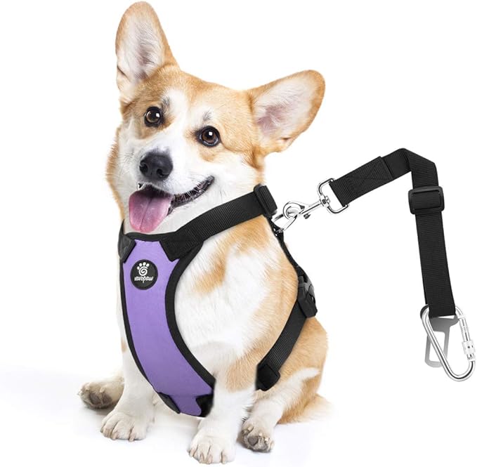 Dog Seat Belt, Safety Vest Dog Car Harness with Adjustable Buckle Dog Seat Belt for Vehicle Nylon Pet Safety Seat Belts Heavy Duty(S, Purple)