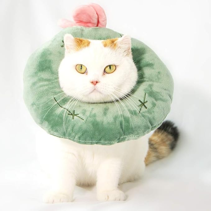 Adjustable Cat Recovery Collar Soft,Cute Pet E-Collar Neck Cone After Surgery Wound Healing Protective Cone Fit for Kitties, Small Dogs(ELC05-cactus-s)