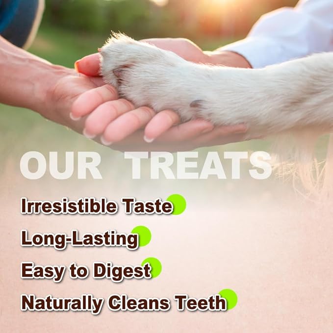 Afreschi Natural Turkey Tendon Bone (S) Pack of 4, Dog Treats for Signature Series, All Natural Human Grade Puppy Chew, USA-Sourced Turkey Tendon, Hypoallergenic, Rawhide Alternative