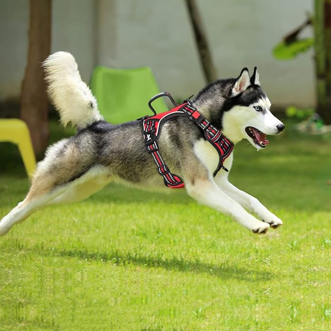 PoyPet No Pull Dog Harness, No Choke Front Clip Reflective Dog Vest with Soft Padded Vertical Handle, 3 Leash Attachments for Small Medium Large Dogs (Red,L)
