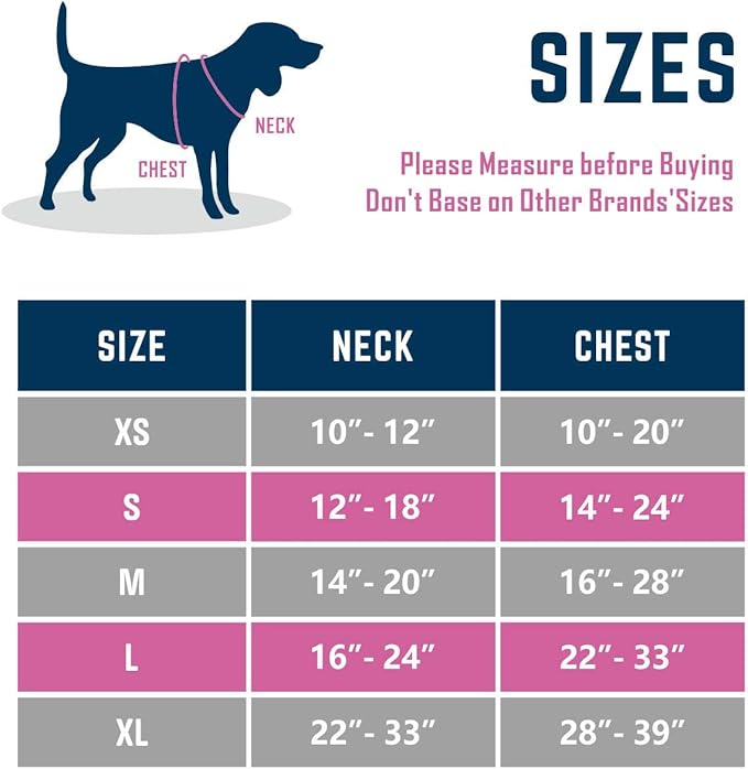 PHOEPET 2019 Reflective Dog Harness Large Breed Adjustable No Pull Vest with with Handle 2 Metal Rings 3 Buckles [Easy to Put on & Take Off](XL, Purple)