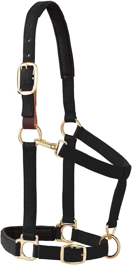 Weaver Equine Breakaway Halter with Foam Padding, Average Size