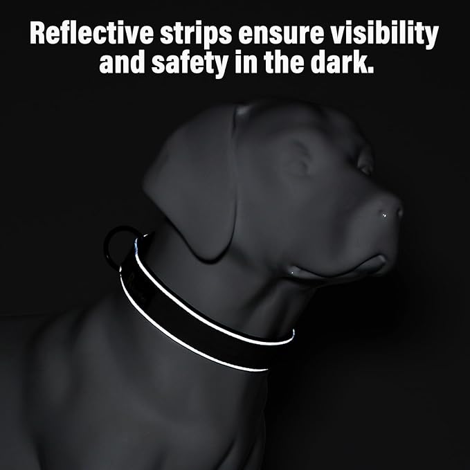 Plutus Pet Tactical Dog Collar, Reflective, Adjustable Heavy Duty Dog Collar, Soft Padded and Comfortable, for Small Medium and Large Dogs (Cyan, S)