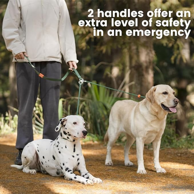 Howgo Double Slip Leash Slip Lead | Dual Dog Lead for 2 Dogs,360° Swivel No Tangle | Dog Training Nylon Leash and Collar | Double Clip Coupler and Splitter | Lightweight Aluminum (Multicolor, 3FT)