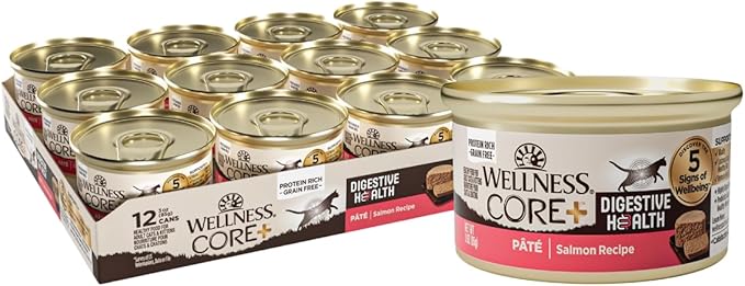 Wellness CORE+ Digestive Health Pate Adult Wet Cat Food, Natural, Protein-Rich, Grain Free, 3 Ounce, 12 Pack (Salmon)