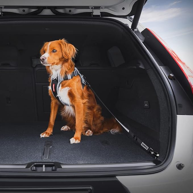 EzyDog Click ISOFIX Cargo - Dog Seat Belt Car Harness Attachment for Dogs - Adjustable Dog Restraints Seatbelts for Car Travel and Safety - (24in - 40in, Black)
