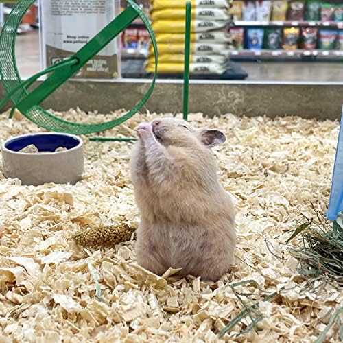 Blue Mountain Hay | Fresh Organic Oat Hay (15 Ounce) | Good for Sensitive Digestion | High-Altitude Hay Pet Food for Rabbits, Guinea Pigs, Chinchillas, Hamsters, and Other Small Pets
