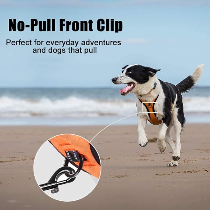 PoyPet No Pull Dog Harness, Reflective Comfortable Vest Harness with Front & Back 2 Leash Attachments and Easy Control Handle Adjustable Soft Padded Pet Vest for Small to Large Dogs (Orange,S)