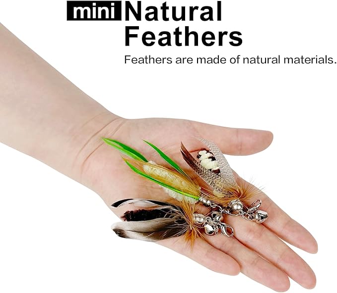 TTcat Cat Feather Wand Toys,Retractable Wand Toy with 3 Mini Insect Refills, Transparent Carbon Wire,Interactive Cat Toy Kitten Toy for Indoor Cats to Play Chase Exercis