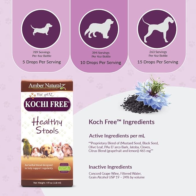 Amber NaturalZ Kochi Free Herbal Supplement for Dogs, Cats, Birds, Rabbits, and Guinea Pigs | Supports Healthy Bowel Function | Natural Aid for Digestive Balance | 4 Fluid Ounce Glass Bottle