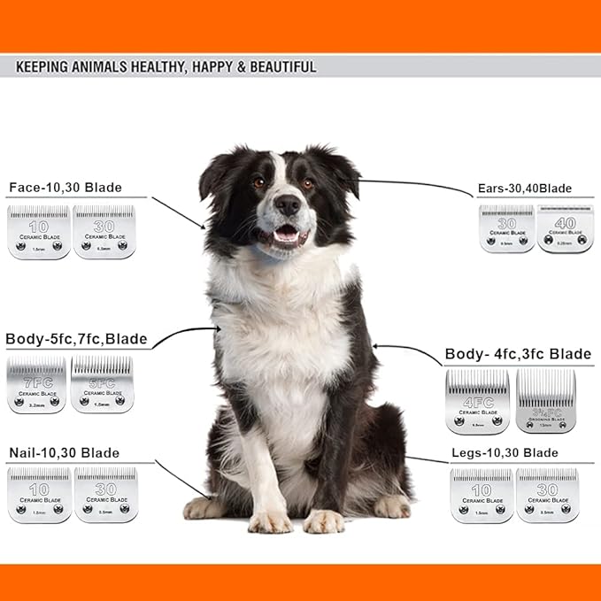 5PCS 10 Blades Dog Grooming Replacement Blades Compatible with Andis Pet Clipper/Oster A5/Wahl KM Series Dog Clipper,Ceramic Blade & Stainless Steel Blade, Size ：#10+30+40+5FC+4FC