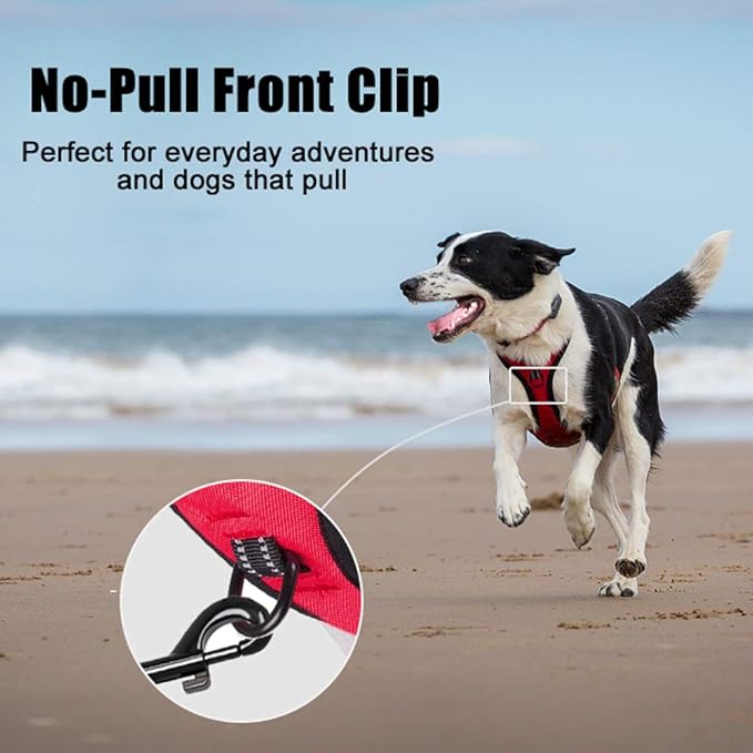PoyPet No Pull Dog Harness, Reflective Comfortable Vest Harness with Front & Back 2 Leash Attachments and Easy Control Handle Adjustable Soft Padded Pet Vest for Small to Large Dogs (Red,M)