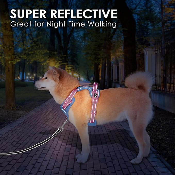 PHOEPET No Pull Dog Harness, Unique Colors Reflective Adjustable Dog Vest, with Soft Training Handle Metal Clips for Small Medium Large Dogs (Baby Blue Base & Pink Straps,S)