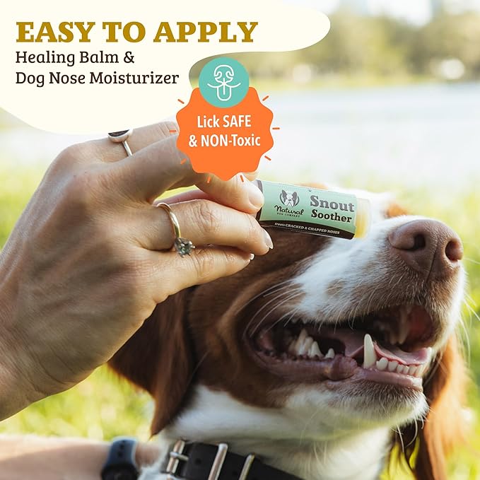 Natural Dog Company Snout Soother Balm Bundle, with 4 Travel Sticks (0.15 oz Each), Wax for Dry, Cracked Noses, Heals & Moisturizes with Shea Butter & Coconut Oil, Lick-Safe Nose Butter, Made in USA