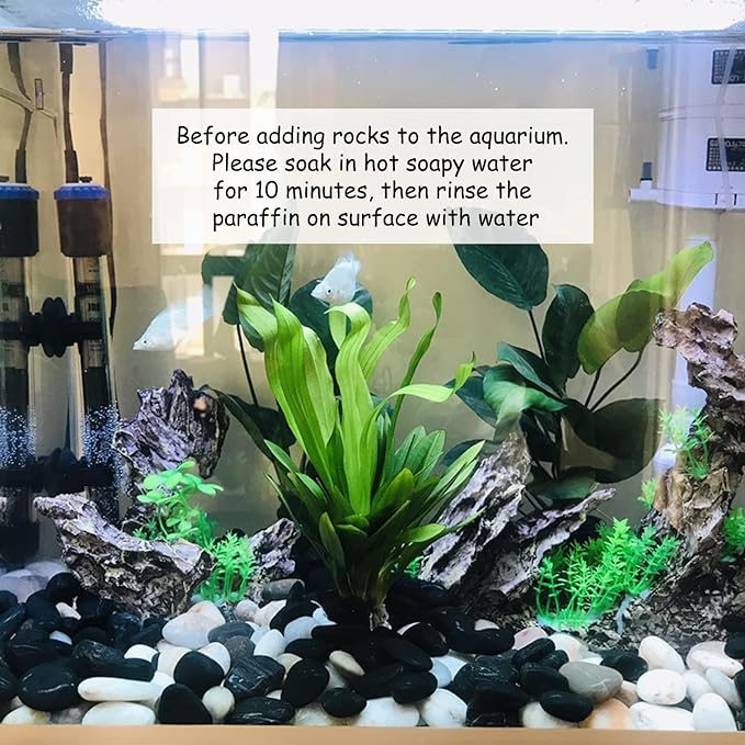 5 lbs Black River Rocks - 2-3 inch Pebbles for Plants, Indoor & Outdoor. Decorative Stones for Planters, Vases, Aquariums & Gardens