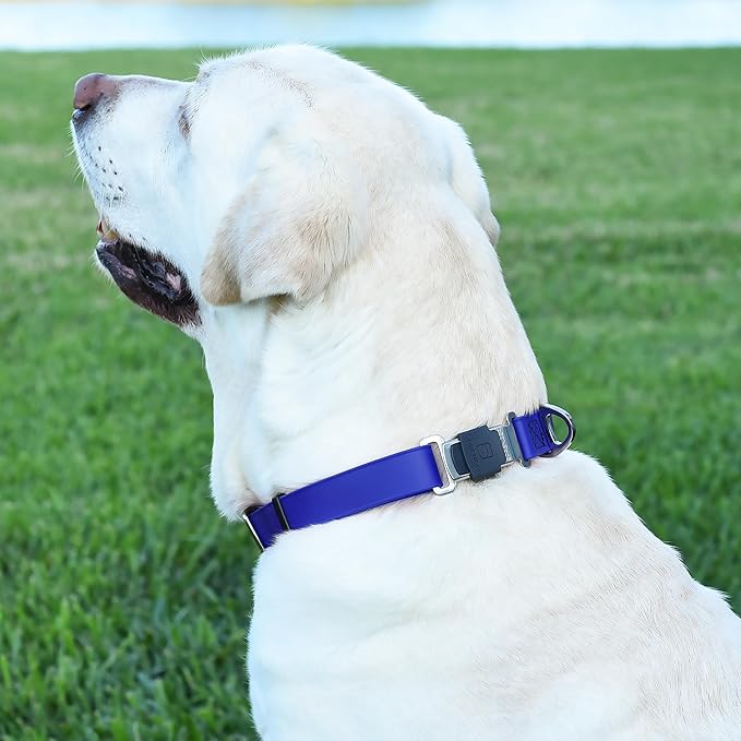Dogline Biothane Waterproof Dog Collar with Herm Sprenger Stainless Steel Quick Release Buckle – Heavy Duty Tactical Durable Collar for Dogs – Comfortable and Safe Pet Collar W 3/4" L 12-19" Blueberry