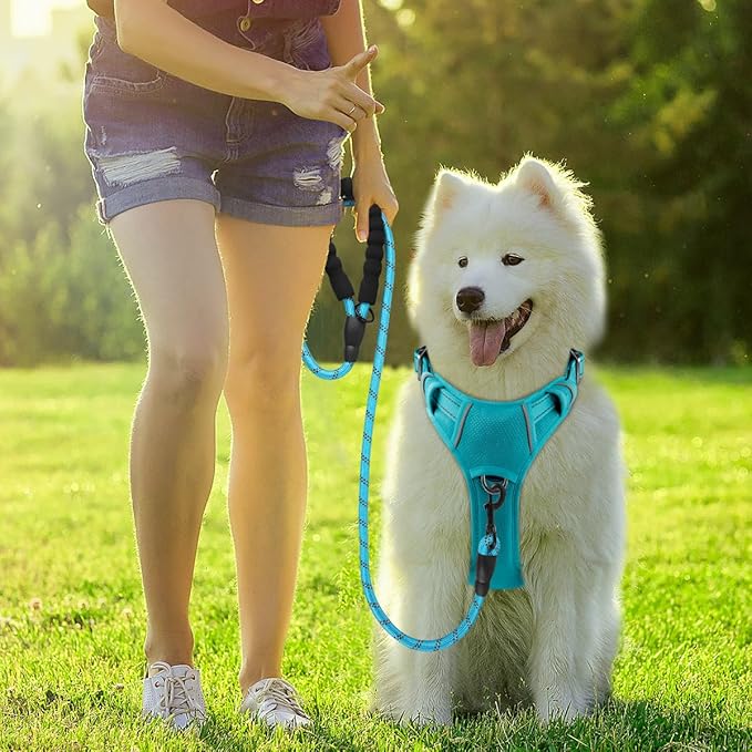 BARKBAY Dog Harness No Pull with ID Tag Pocket - Heavy Duty, Reflective, Easy Control for Large Dogs(Ocean Blue,XL)