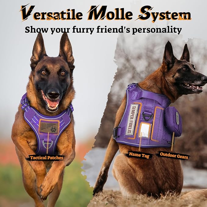 rabbitgoo Dog Harness Medium Sized No Pull, Tactical Service Pet Vest with Molle and Control Handle, Adjustable and Reflective Military Harness for Easy Walking and Training, Purple, M