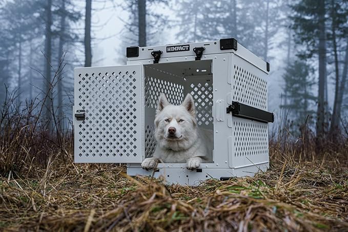 Impact Collapsible Dog Crate - Foldable Hard Crate for XXL Dogs - Heavy Duty Travel Kennel with Powder-Coated Aluminum - Quick Setup for Indoor & Outdoor (Gray, 48" (48" L x 27" W x 33" H))