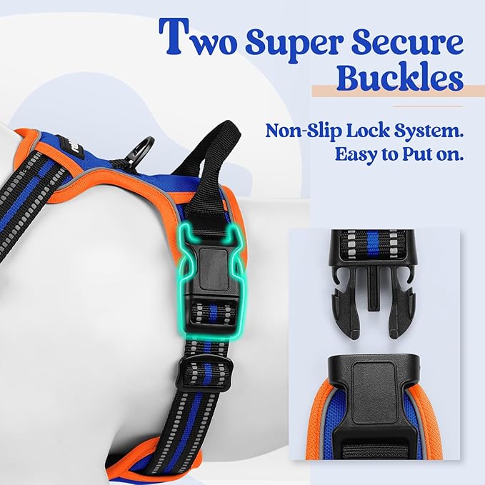 rabbitgoo Dog Harness No Pull with 2 Leash Clips, Adjustable Soft Padded, Reflective Oxford No Choke Pet Vest with Easy Control Handle for Small Dogs, Blue & Orange, S