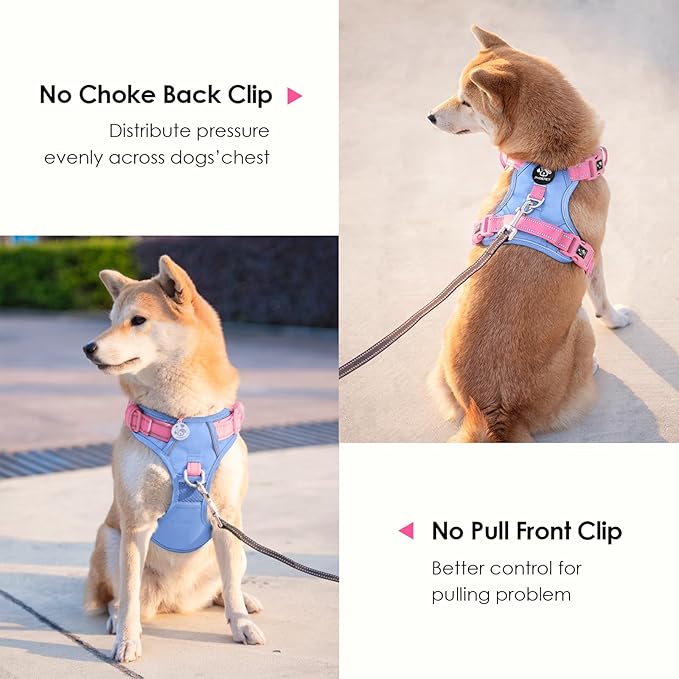 PHOEPET No Pull Dog Harness, Unique Colors Reflective Adjustable Dog Vest, with Soft Training Handle Metal Clips for Small Medium Large Dogs (Baby Blue Base & Pink Straps,XL)