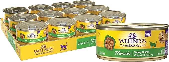 Wellness Complete Health Cubed Adult Wet Cat Food, Natural, Protein-Rich, Grain Free, 5.5 Ounce, 24 Pack, (Turkey Entrée)
