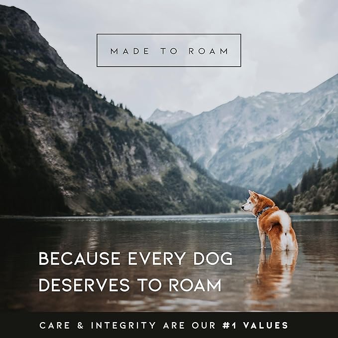 MADE TO ROAM Premium Explorer Harness - Y-Shaped Dog Harness with Adjustable Durable Nylon, Soft Padding, Metal Buckles and Leather Handle for Small, Medium, Large Dogs (Michigan Autumn, Size 3)