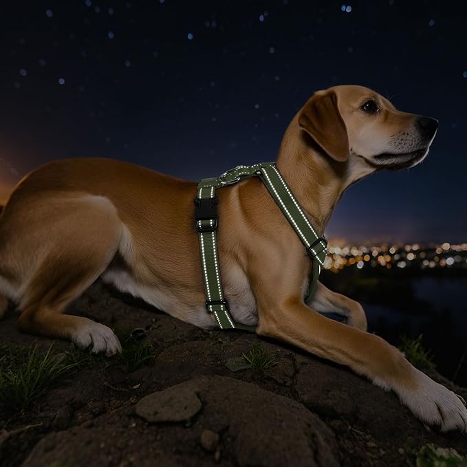 Dog Seat Belt Harness for Car, Dog Car Harness Adjustable Mesh Breathable & Dogs Seatbelt Safety Tether with Elastic Bungee for Small Medium Large Pets(Army Green, L)