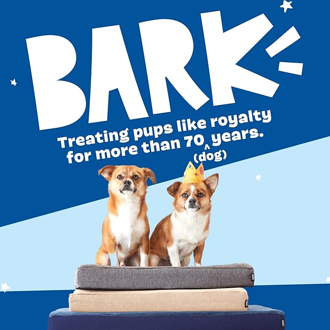 Barkbox Orthopedic Dog Bed with Memory Foam, Premium Comfort for Dogs and Puppies, Large Sized Dog Bed for Joint Relief and Restful Sleep, Durable and Easy to Clean - Grey, Large