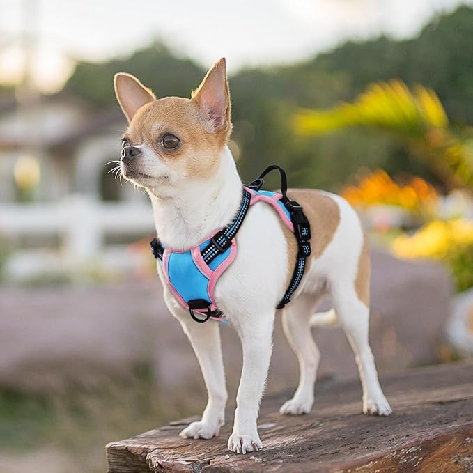 Eagloo Small Dog Harness No Pull, Service Vest with Reflective Strips and Control Handle, Adjustable and Comfortable for Walking, No Choke Pet Harness with 2 Metal Rings, Pink & Blue, XS