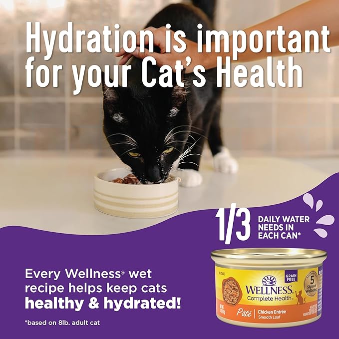 Wellness Complete Health Pate Adult Wet Cat Food, Natural, Protein-Rich, Grain Free, 3 Ounce, 24 Pack, (Chicken & Lobster)