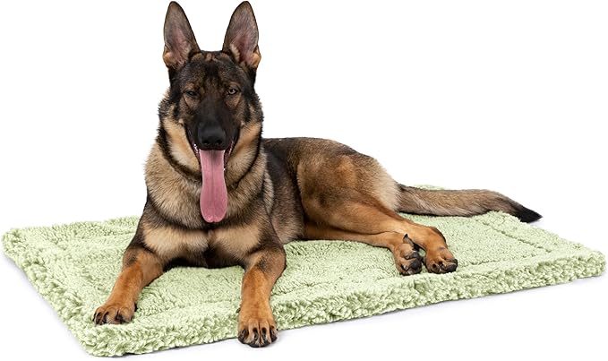 Stoutwool Indestructible Dog Bed - Fluffy Chew Proof Dog Crate Pad - Tough Kennel Pad for Aggressive Chewers - Ideal for Extra Large Breeds & Fits 48-Inch Crate - 47"x29", Gleam