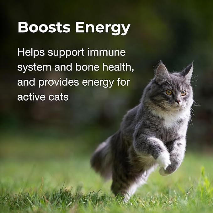 PetAg Vitamin & Mineral Gel Supplement for Cats - 3.5 oz - Provides Basic Daily Vitamins & Minerals for Cats 4 Months and Older - Easy to Digest
