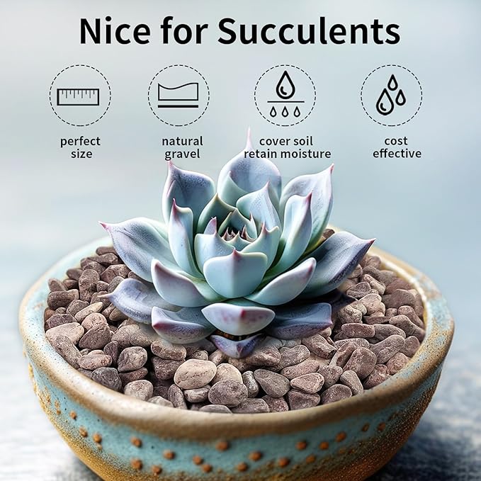 10 lbs Pebbles for Plants, 3/8 Inch Pea Gravel Stones Decorative Red River Rocks for Succulent, Cactus, Landscaping, Vases, Terrarium, Aquarium, Potted Top Dressing and Outdoor Garden