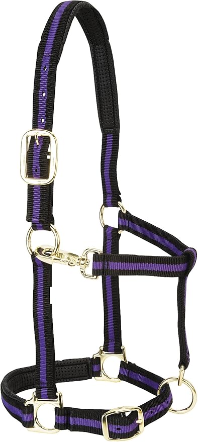 Weaver Equine Nylon Horse Halter, Triple-Ply Cheek Design, Original Non Adjustable Halters for Horses in Black, Average Size