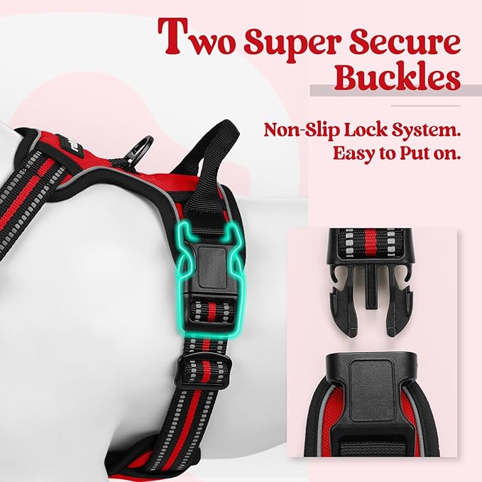 rabbitgoo Dog Harness No Pull with 2 Leash Clips, Adjustable Soft Padded, Reflective Oxford No Choke Pet Vest with Easy Control Handle for Large Dogs, Red, XL