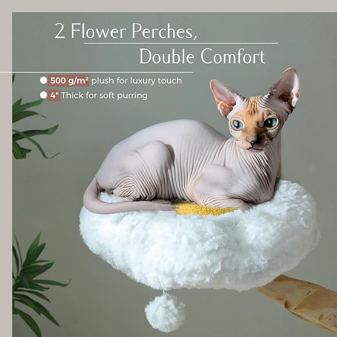 PAWZ Road Cat Tree for Indoor Cats Large Adults, 59 Inches Modern Cat Tower with Large Basket and Hammock, Natural Solid Wood, Luxury Condo & Dual Perches, Modern Cat Furniture for Big Cats, White