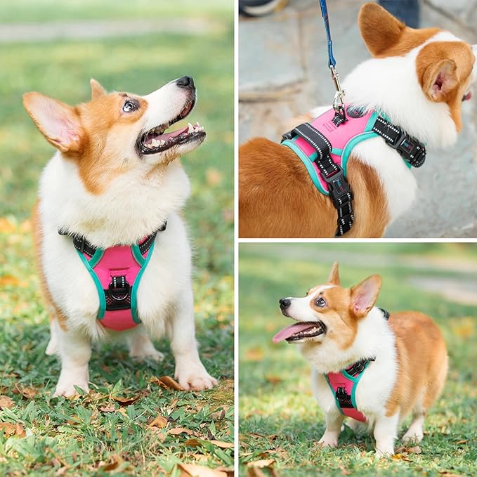 PHOEPET 2019 Upgraded No Pull Dog Harness, Reflective Adjustable Vest, with a Training Handle + 2 Metal Leash Hooks+ 3 Snap Buckles +4 Slide Buckles(S, Pink)