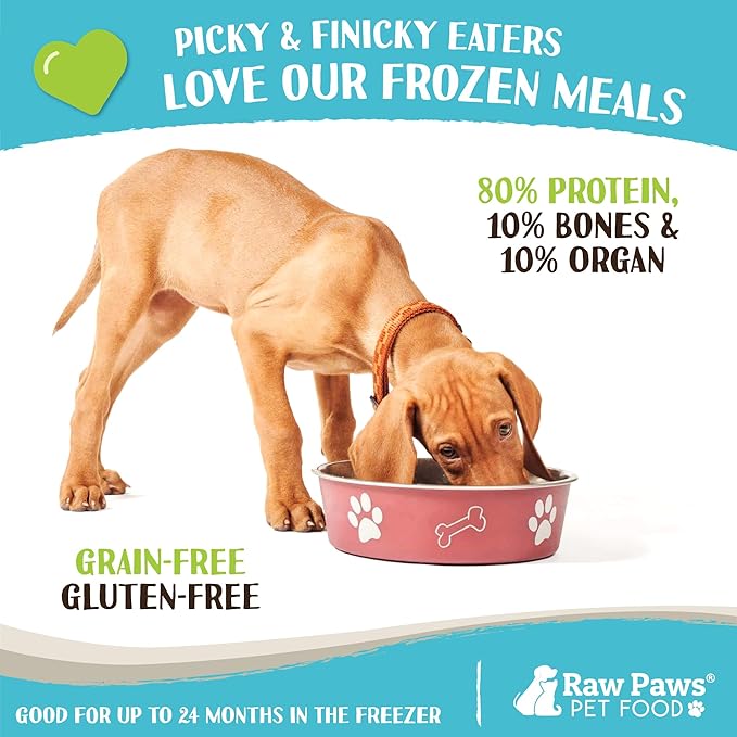 Raw Paws Signature Blend Pet Food for Dogs & Cats - Turkey Recipe, 1-lb Rolls (10 Pack) - Made in USA Frozen Turkey Roll Dog Food - Refrigerated Log Dog Food - Raw Frozen Food for Dogs
