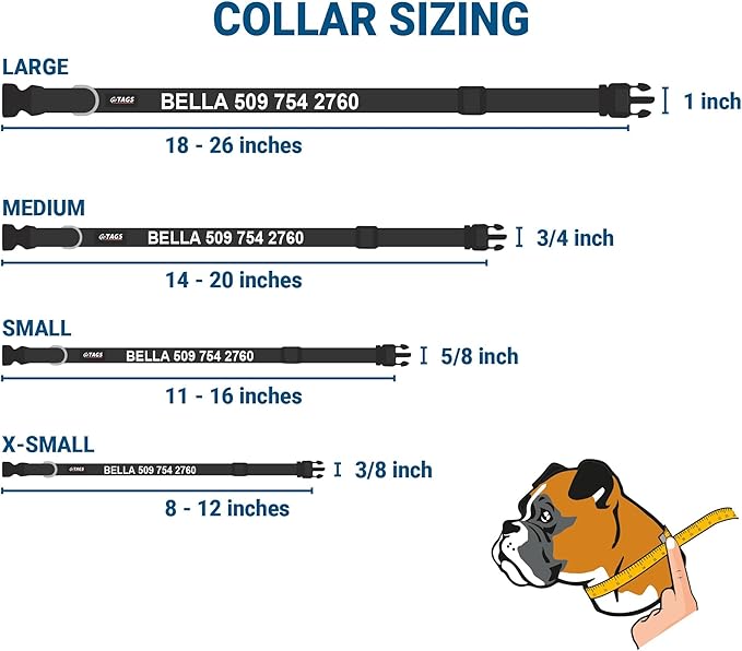 GoTags Personalized Dog Collar with Nameplate, Adjustable Dog Collar with Custom Engraved Slide On Pet ID Tag in Stainless Steel, Silent, No Noise Dog Tag (Light Blue, Large)