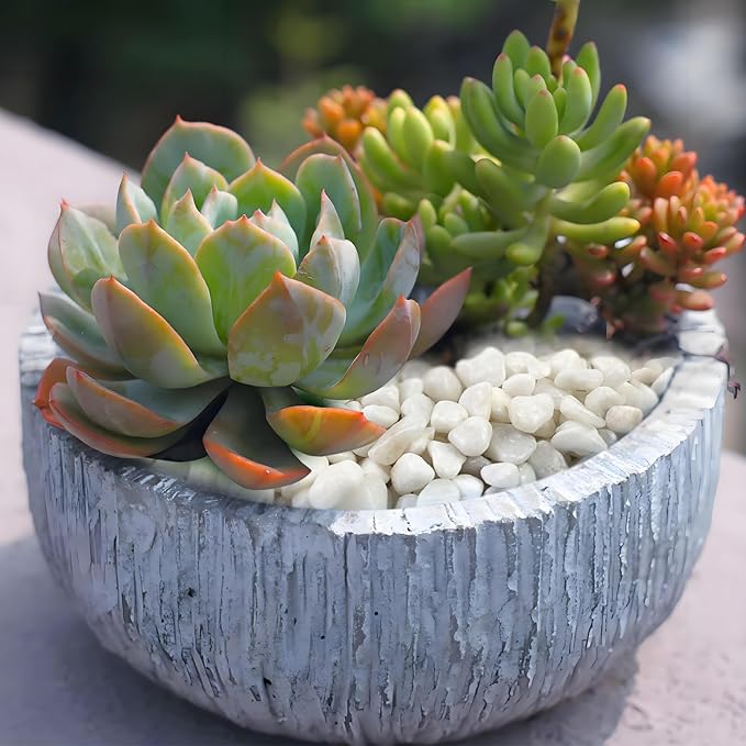 5 lbs White Pebbles for Indoor Plants, 3/8 Inch Decorative White Gravel, Polished River Rocks for Potted Plants Vase Cactus Bird Bath and Outdoor Garden Landscaping