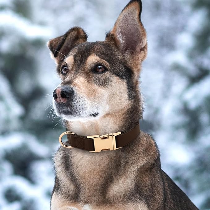 PET ARTIST PU Leather Dog Collar, Bright & Stylish Brown Dog Collar with Quick Release Gold Metal Buckle, Soft Nylon Padded Durable Pet Collars Adjustable for Small Dogs, Neck Fit 9-14"