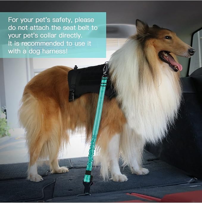 AUBELL Dog Seat Belt for Car,2 Pack Set 3-in-1 Adjustable Reflective Bungee Heavy Duty Dog Car Harness Tether with Clip Hook Latch & Buckle,Swivel Zinc Alloy Carabiner,Black+Teal