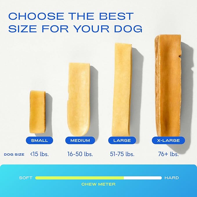 Native Pet Yak Cheese Himalayan Dog Chews - Long Lasting Dental Sticks for Medium Breeds – 100% All Natural Himalayan Yak Chews for Medium Dogs – Cheese Bone for Aggressive Chewers - 10 Per Pack