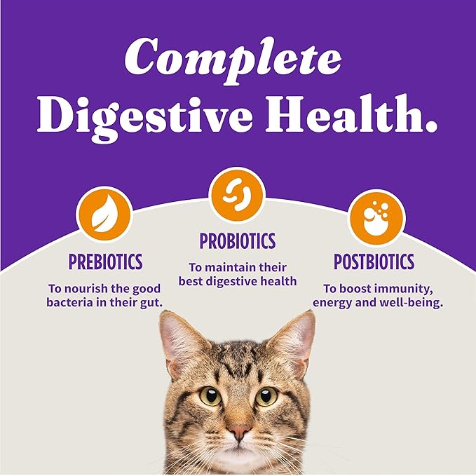 Halo Holistic Cage Free Chicken Cat Food, Grain Free Dry Cat Food, For Healthy Weight Support, Kibble for Indoor Cats, 10 lb Bag