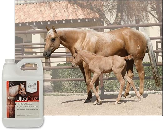 UltraCruz® Equine Bright White Shampoo, 1 Gallon